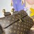 Hide Away MM M14473