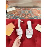 Louis Vuitton slides