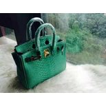 Hermes Birkin 25 real snake leather top grade