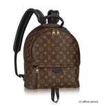 Louis Vuitton PALM SPRINGS BACKPACK MM