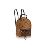 Louis Vuitton PALM SPRINGS BACKPACK MINI