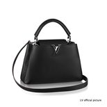 Louis Vuitton CAPUCINES PM